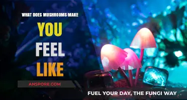 Exploring the Mind-Altering Effects: What Do Mushrooms Make You Feel?