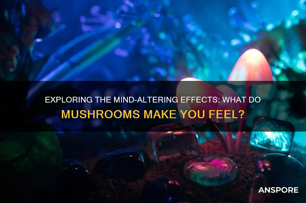 what does mushrooms make you feel like