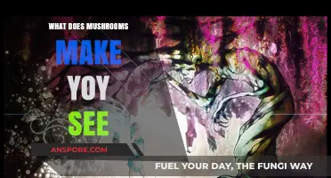 Unveiling the Psychedelic Visions: What Mushrooms Make You See