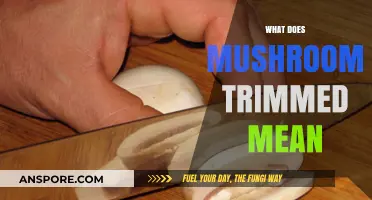 Mushroom Trimming: What Does It Mean?