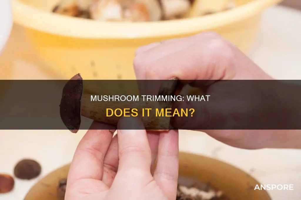 what does mushrooms trimmed mean