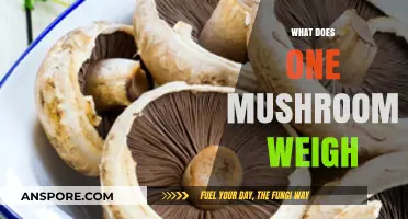 Weighing a Mushroom: How Much Does It Weigh?