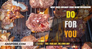 Organic Lion's Mane Mushroom Benefits: Boost Brain Health and Immunity Naturally