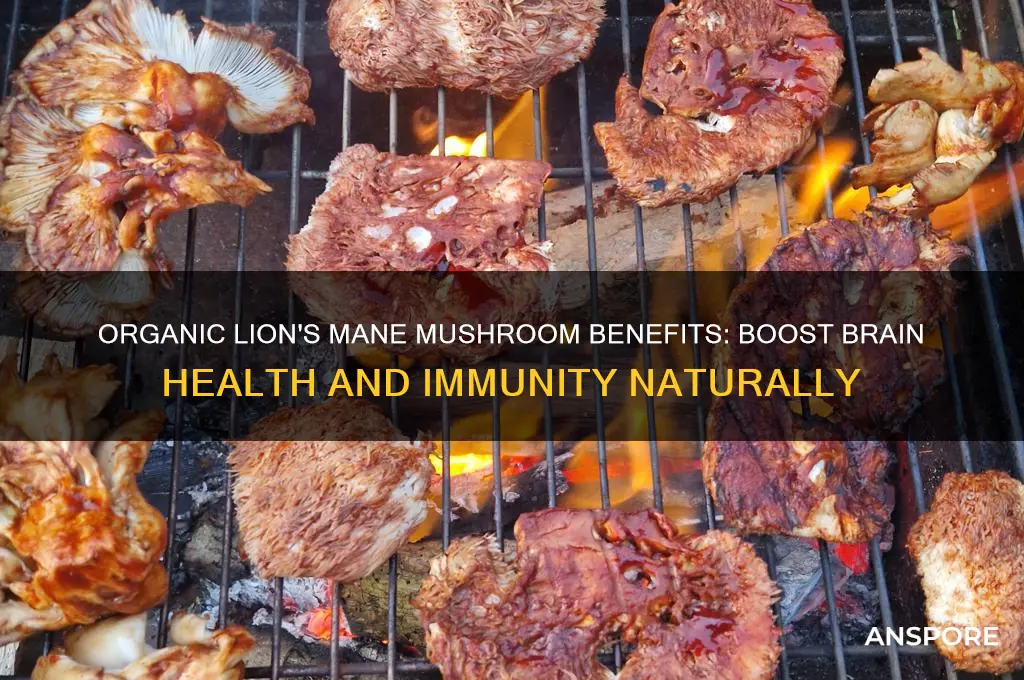 what does organic lions mane mushroom do for you