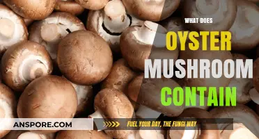 Oyster Mushrooms: Nutritional Powerhouses