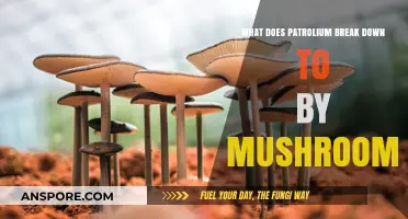 How Mushrooms Naturally Decompose Petroleum: A Breakdown Process Explained