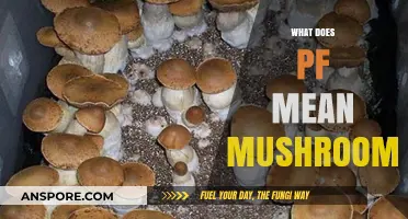 Understanding PF in Mushrooms: What Does It Mean?