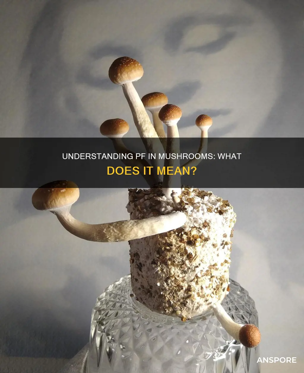 what does pf mean mushrooms