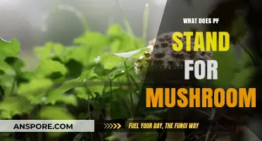 Unveiling the Mystery: What Does PF Stand for in Mushroom Cultivation?