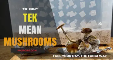 Understanding PF Tek: A Beginner's Guide to Growing Mushrooms at Home