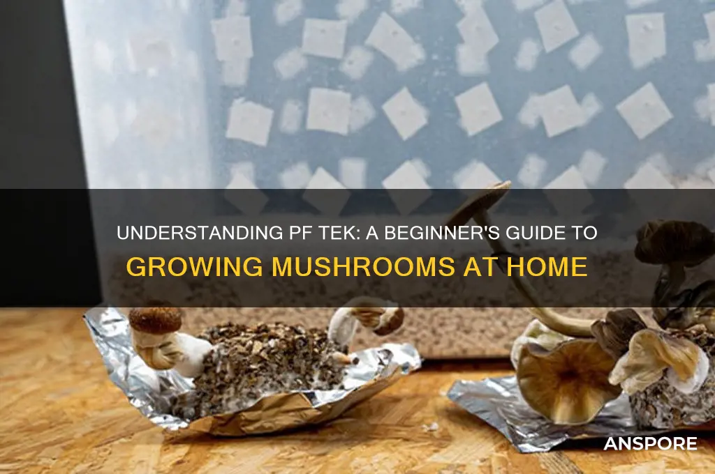 what does pf tek mean mushrooms