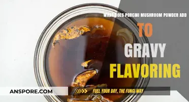 Porcini Mushroom Powder: Elevating Gravy Flavor with Earthy Depth