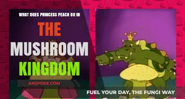 Princess Peach's Role: Governing and Protecting the Mushroom Kingdom