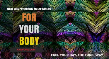 Exploring Psychedelic Mushrooms: Effects on Body, Mind, and Well-being