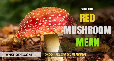 Red Mushrooms: Nature's Warning Sign