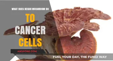 Reishi Mushroom's Impact on Cancer Cells: Unlocking Nature's Potential