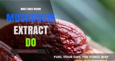 Reishi Mushroom Extract Benefits: Unlocking Health and Wellness Potential