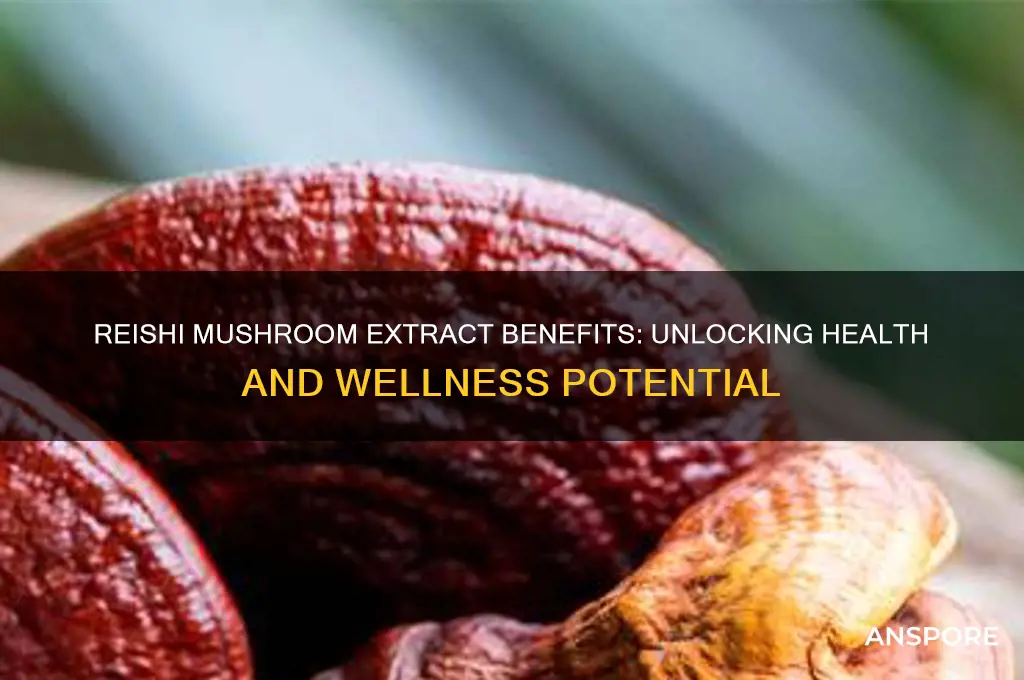 what does reishi mushroom extract do