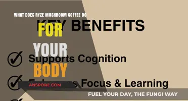 Ryze Mushroom Coffee: Boosts Energy, Focus, and Immune Health Naturally