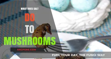 How Salt Enhances Flavor and Texture in Cooking Mushrooms