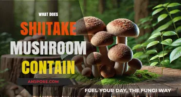 Shiitake Mushrooms: Nutrient Powerhouses