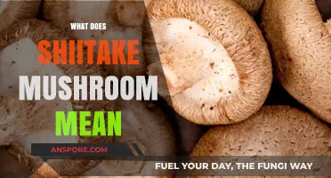 Shiitake Mushrooms: Their Meaning and Cultural Significance