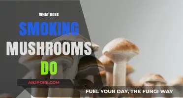 Exploring the Effects of Smoking Mushrooms