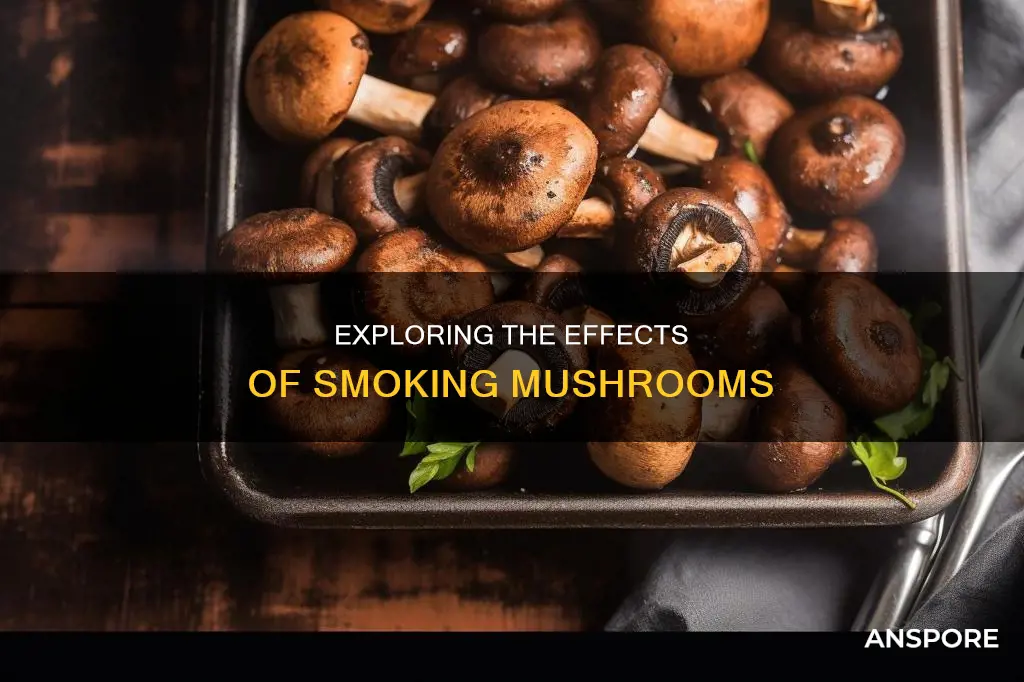 what does smoking mushrooms do