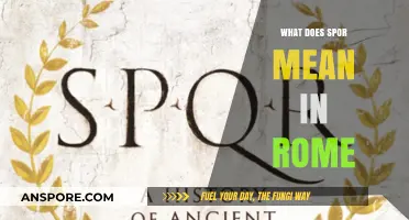 Understanding the Meaning of 'Spor' in Ancient Roman Culture and Language