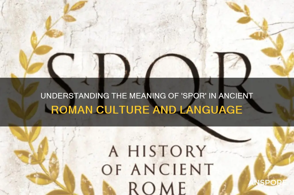 what does spor mean in rome