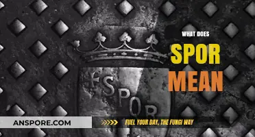 Understanding the Meaning and Usage of 'Spor' in Language and Culture