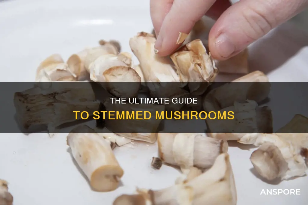 what does stemmed mushrooms mean