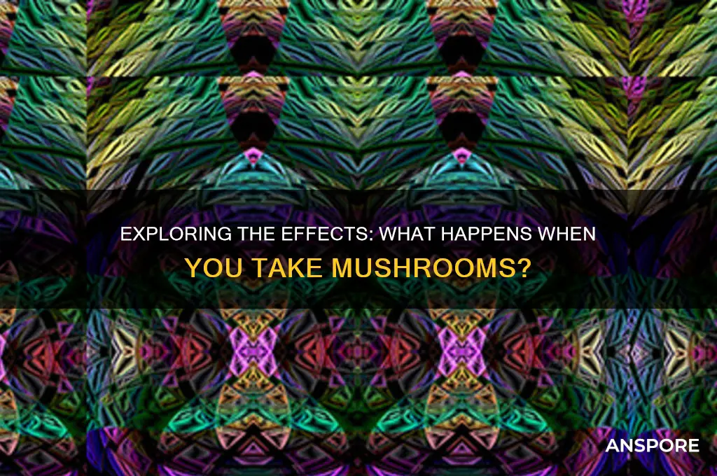 what does taking mushrooms do to you