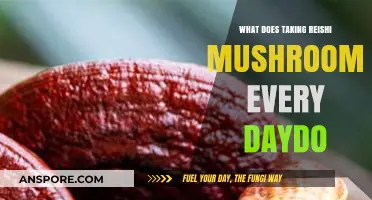 Daily Reishi Mushroom Benefits: Enhancing Health and Wellness Naturally