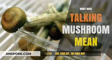 Mushrooms and Their Language of Communication