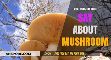 Biblical Insights: Exploring Scripture's Perspective on Mushrooms and Their Role