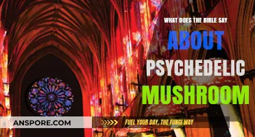 Biblical Perspectives on Psychedelic Mushrooms: Exploring Sacred Texts and Insights