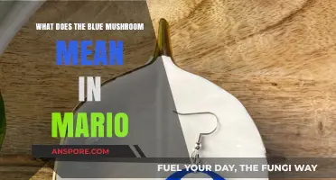Unveiling the Mystery: What Does the Blue Mushroom Mean in Mario?