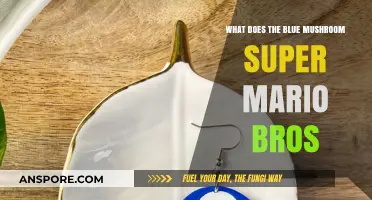 Unveiling the Secrets of the Blue Mushroom in Super Mario Bros