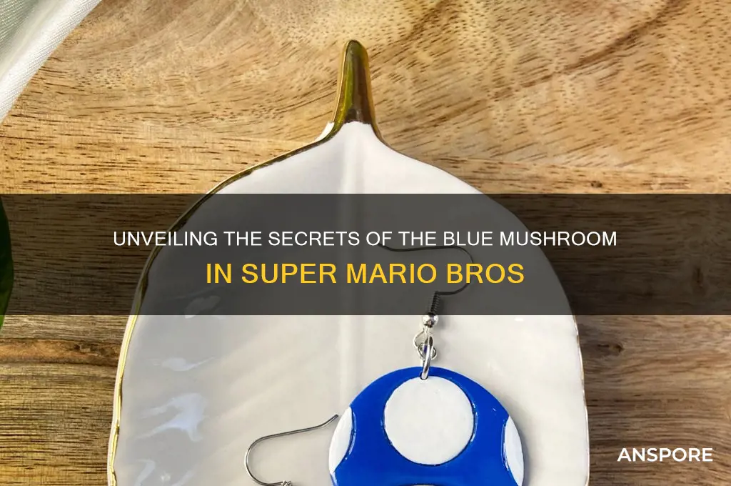 what does the blue mushroom super mario bros