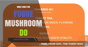 Exploring the Fugue Mushroom: Benefits, Uses, and Effects Revealed