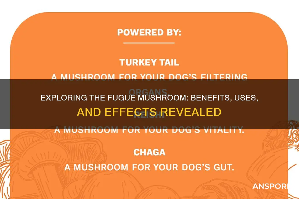 what does the fugue mushroom do