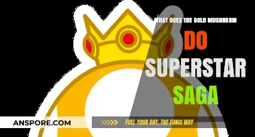 Unveiling the Gold Mushroom's Power in Mario & Luigi: Superstar Saga