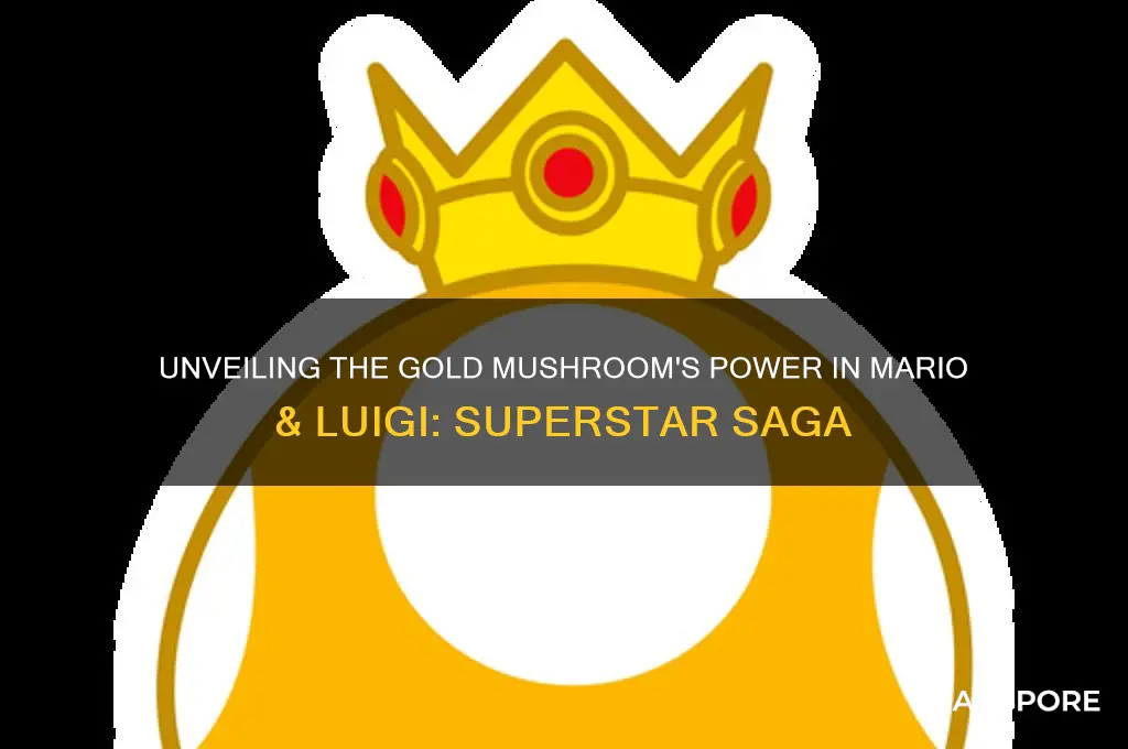 what does the gold mushroom do superstar saga