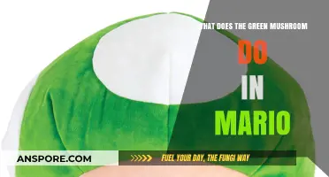 What Does the Green Mushroom Do in Mario? A Guide