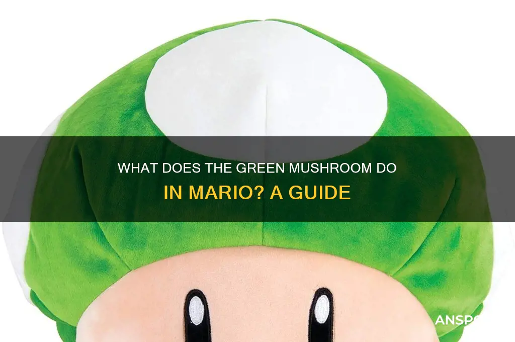 what does the green mushroom do in mario