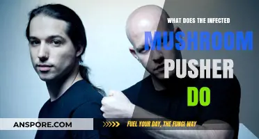 Infected Mushroom's Pusher: Unveiling the Role and Impact of the Track