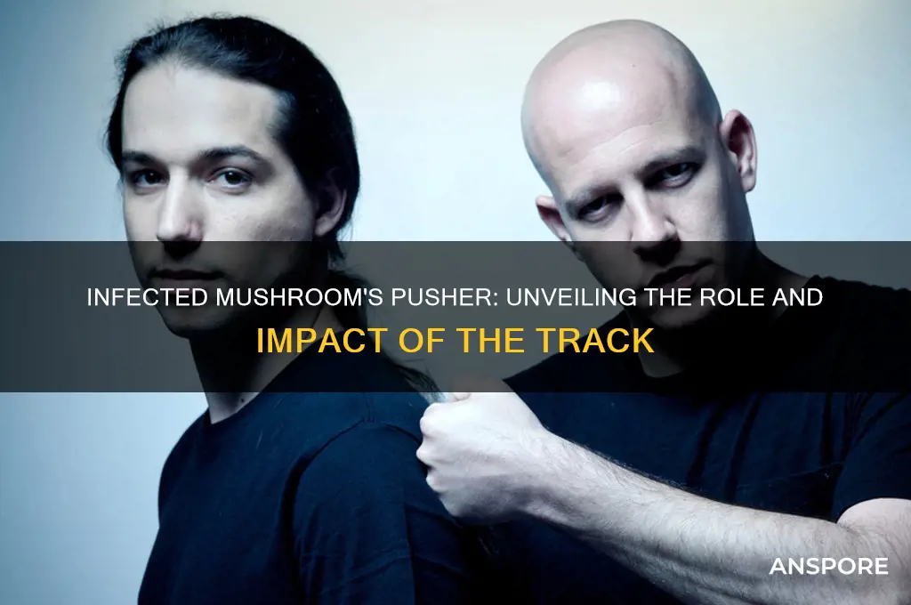 what does the infected mushroom pusher do
