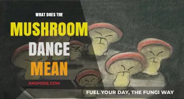 Unveiling the Mystical Mushroom Dance: Symbolism, Origins, and Cultural Significance