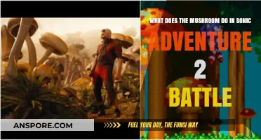 Unveiling the Role of Mushrooms in Sonic Adventure 2 Battle Gameplay